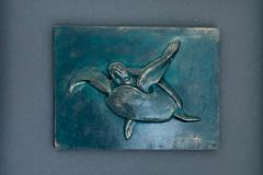 tortuga