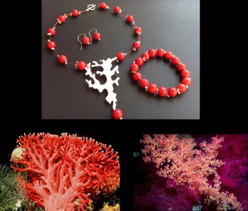 coral rojo