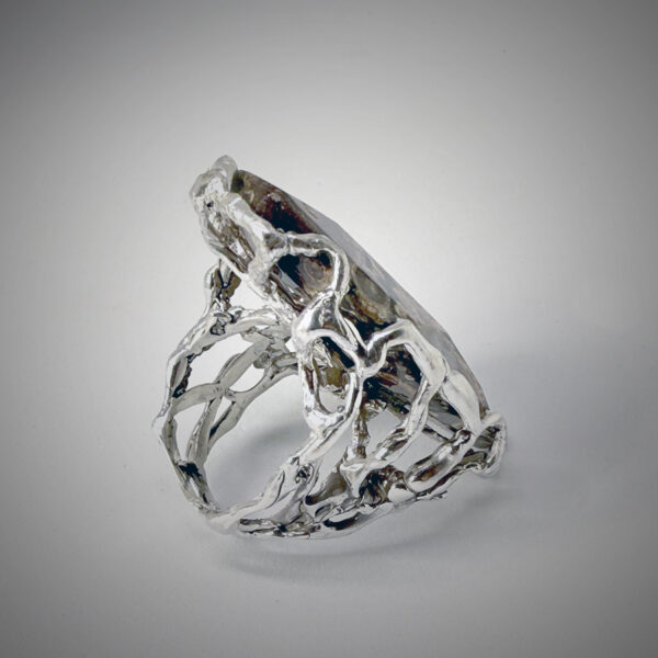 Anillo raíces - Imagen 2